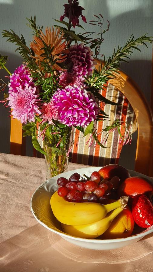 Century House B & B Flatlette Oamaru Bagian luar foto